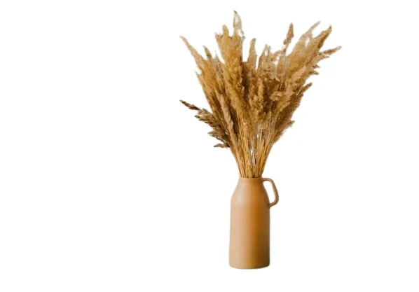 teapot before AI background